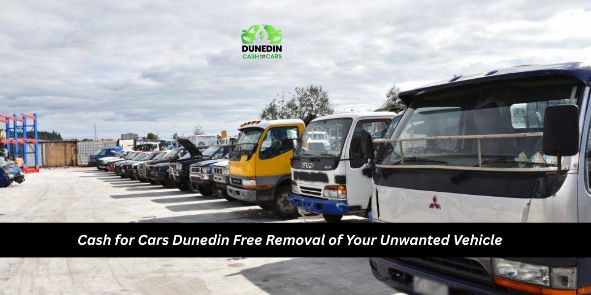 Cash for Cars Dunedin: Free Removal of Your Unwanted Vehicle - Newsglo