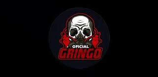 Gringo XP App Download APK (Official Website) For Android 2025 - Newsglo