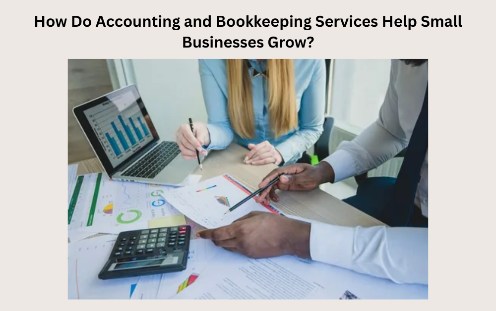 How Do Accounting and Bookkeeping Services Help Small Businesses Grow? - Newsglo