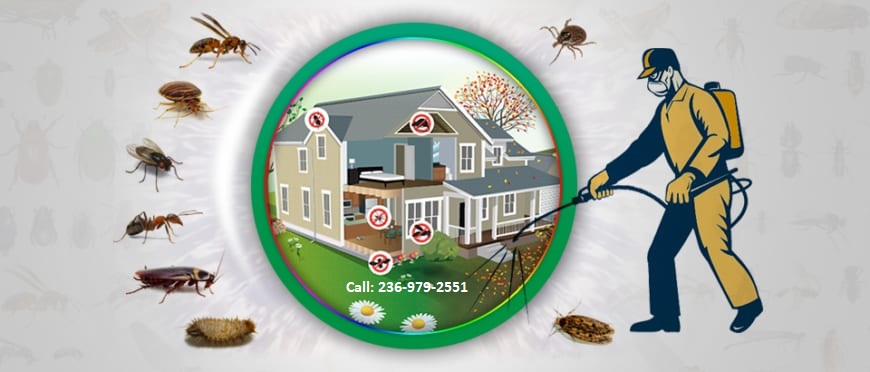 Pest Control Richmond