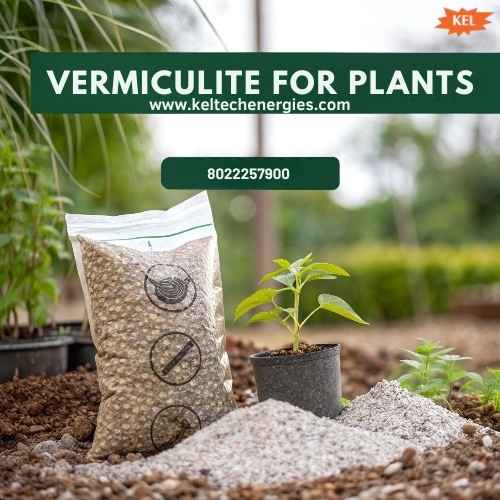 Why Gardeners Prefer Vermiculite for Plants Today - Newsglo
