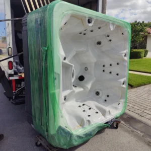 Move In and Move Out Services