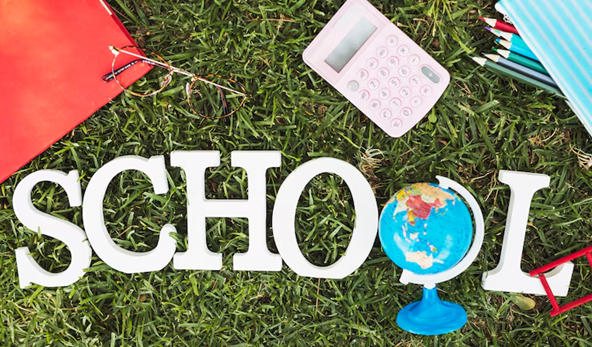 o level school in dha