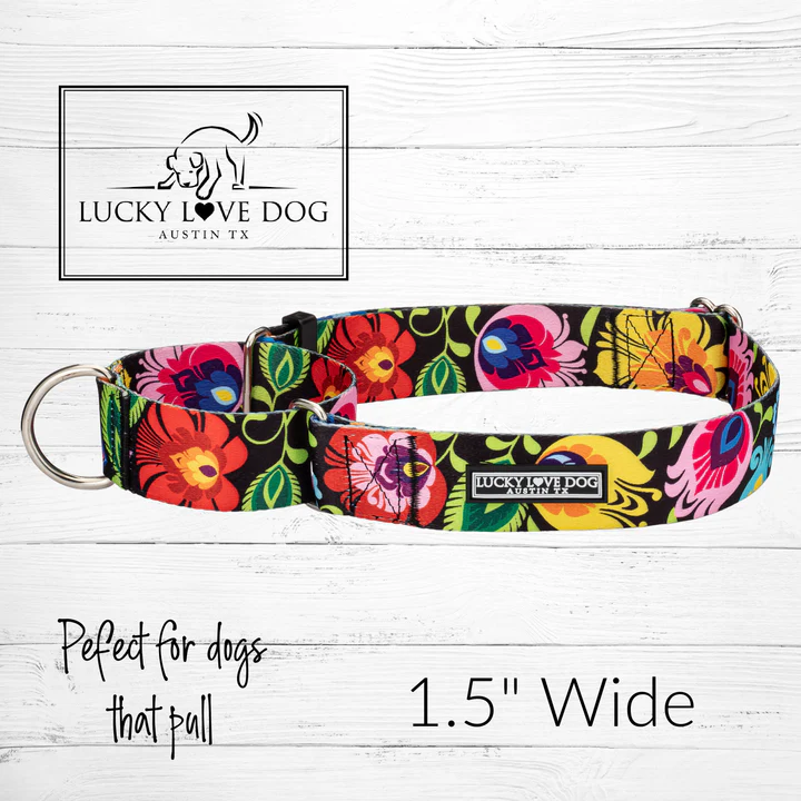 wide martingale do collars lucky love dog