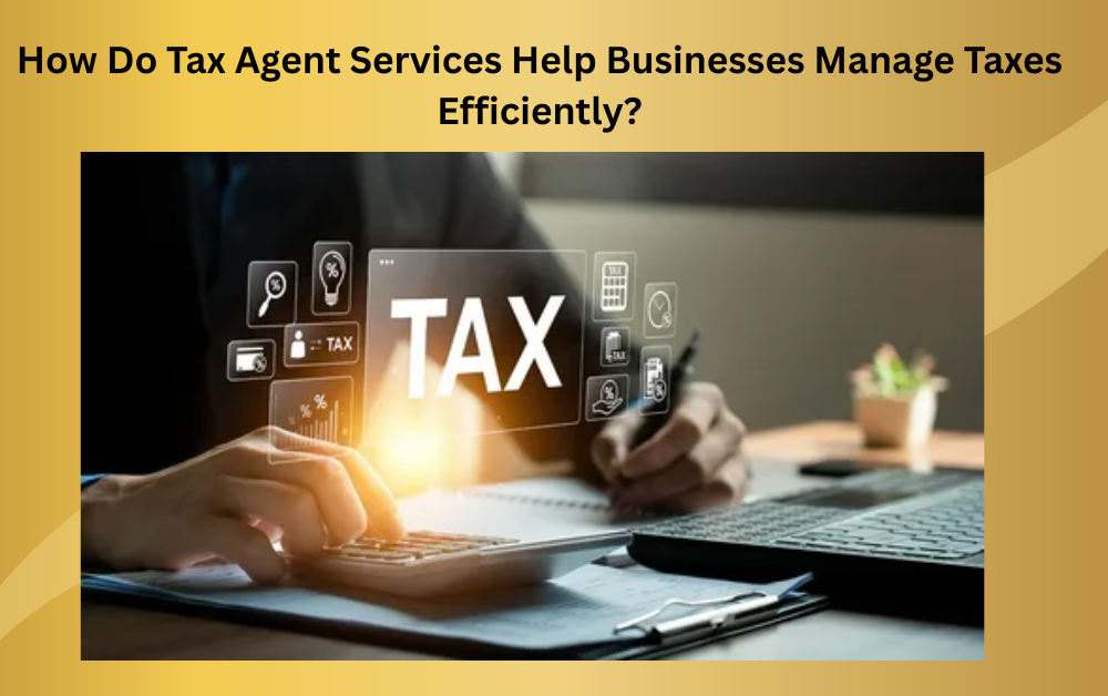 How Do Tax Agent Services Help Businesses Manage Taxes Efficiently? - Newsglo