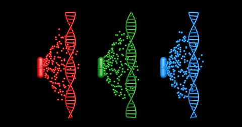 Pharmacogenetic Test