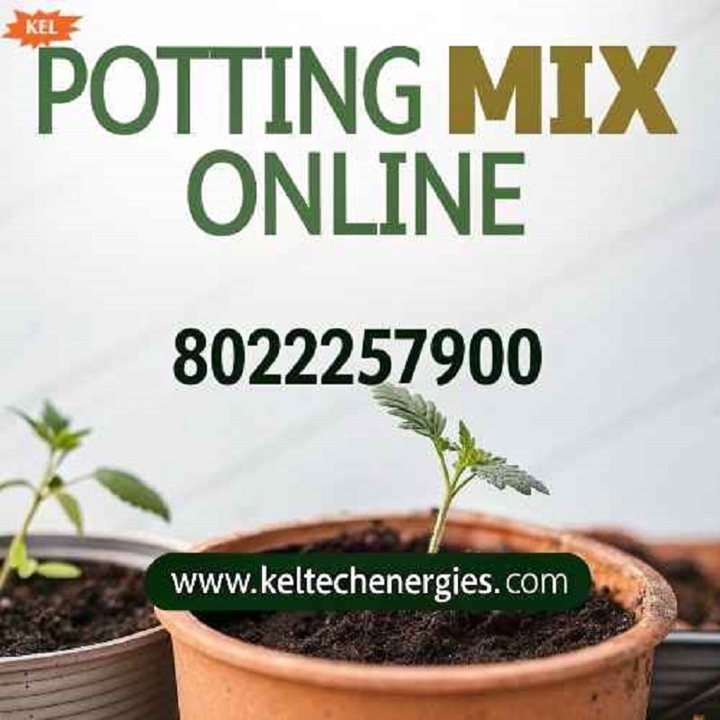 Why Buying Potting Mix Online Improves Plant Growth - Newsglo