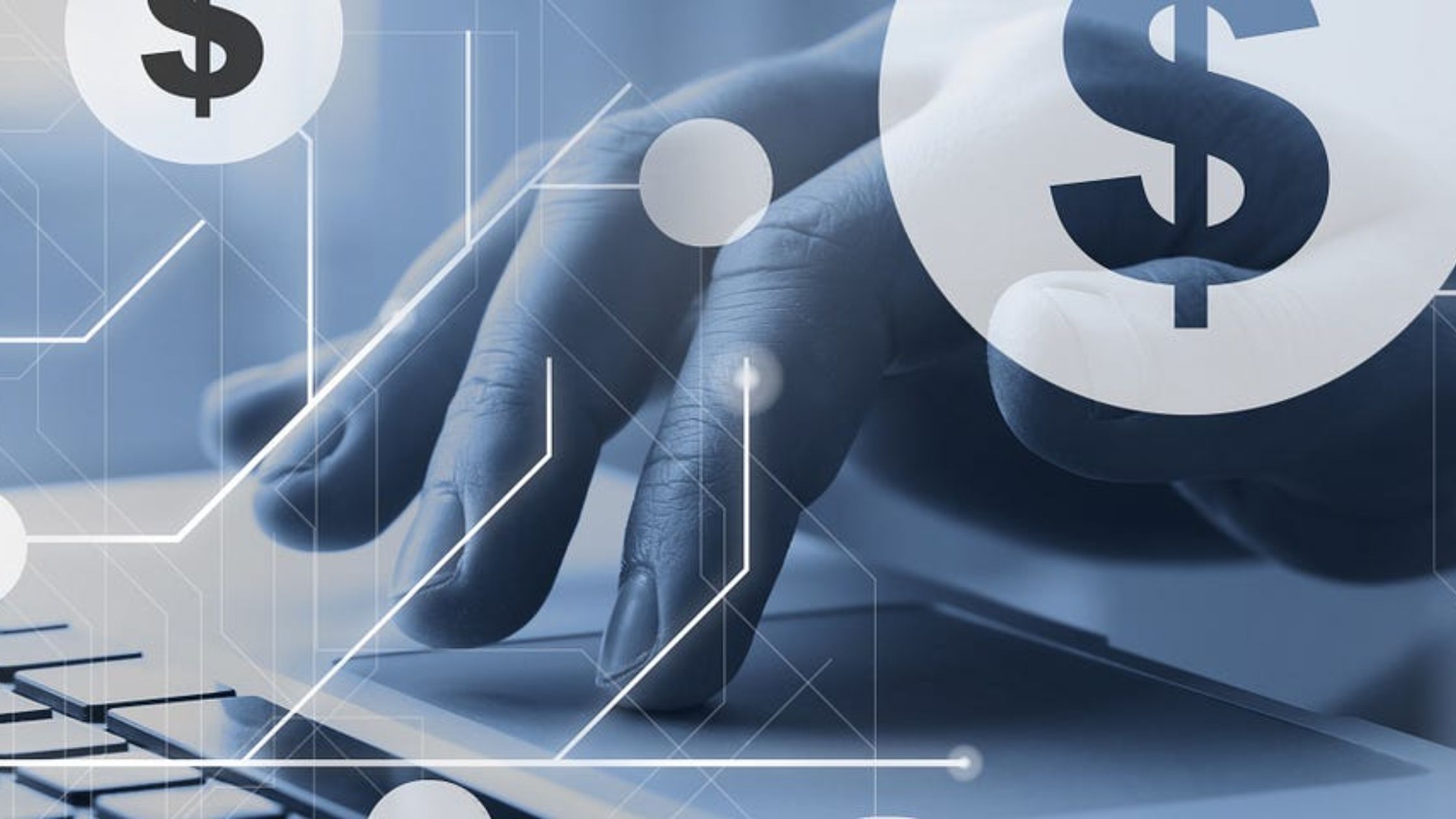 Purple Tree Funding for online stores