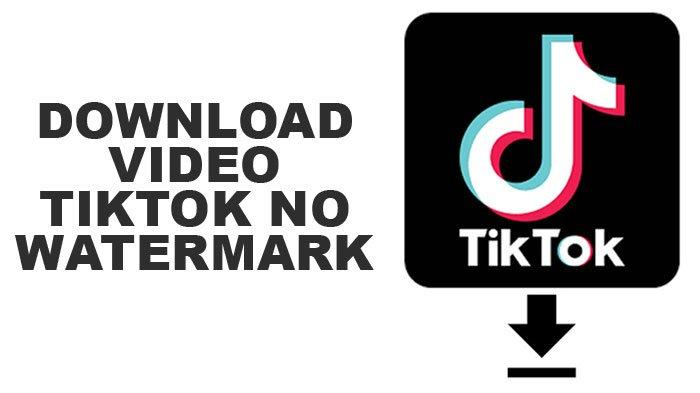 TikTok | Download Videos With Out Watermark 2025 - Newsglo