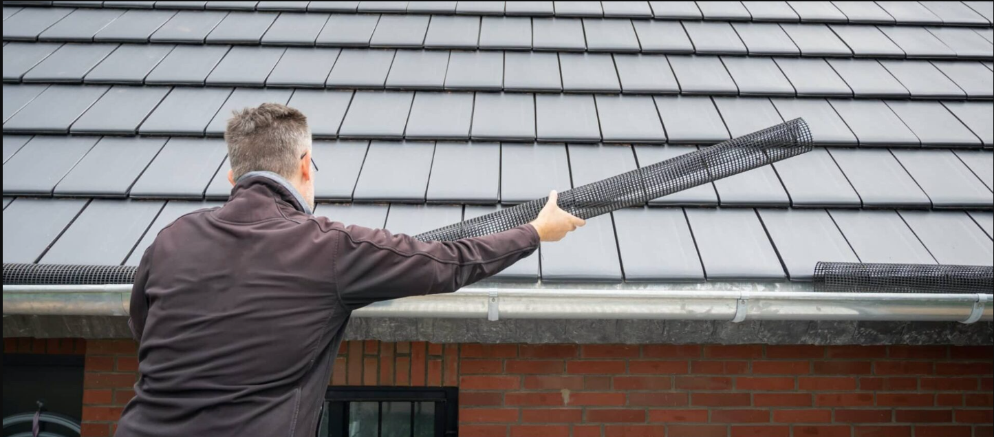 Essential Guide to Gutter Cleaning Services Brisbane - Newsglo