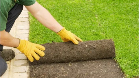 Best Sod Installation Services In Hollywood, FL