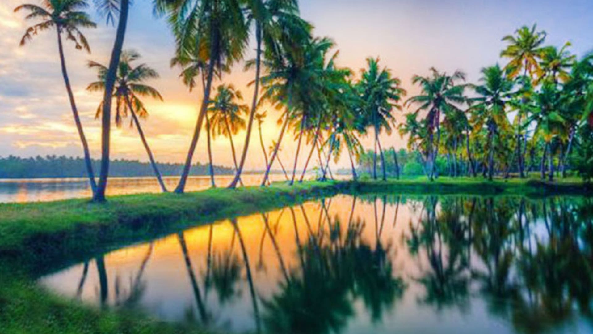 Kerala Holiday Packages: A Complete Guide - Newsglo