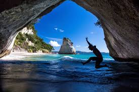 New Zealand bus tours