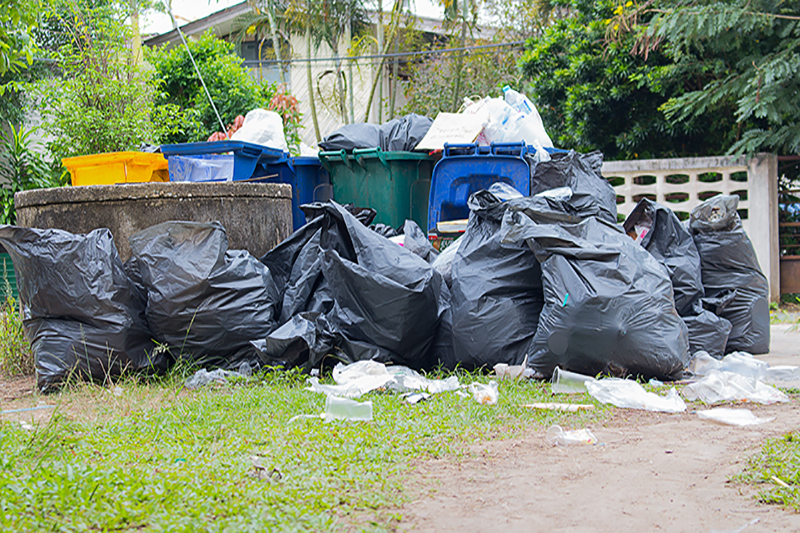 Best and affordable Professional Rubbish Removal in South Surrey - Newsglo
