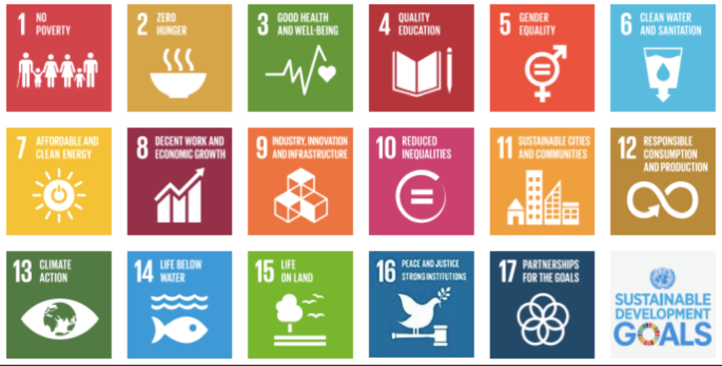 fiinovation sdg goals