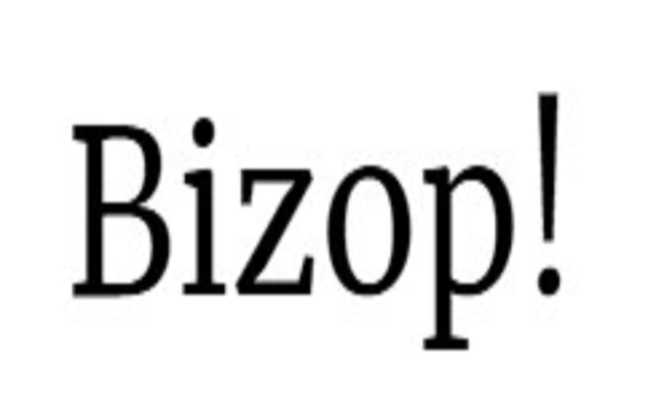 Beginner’s Roadmap to Making Money Online with Bizop.org - Newsglo