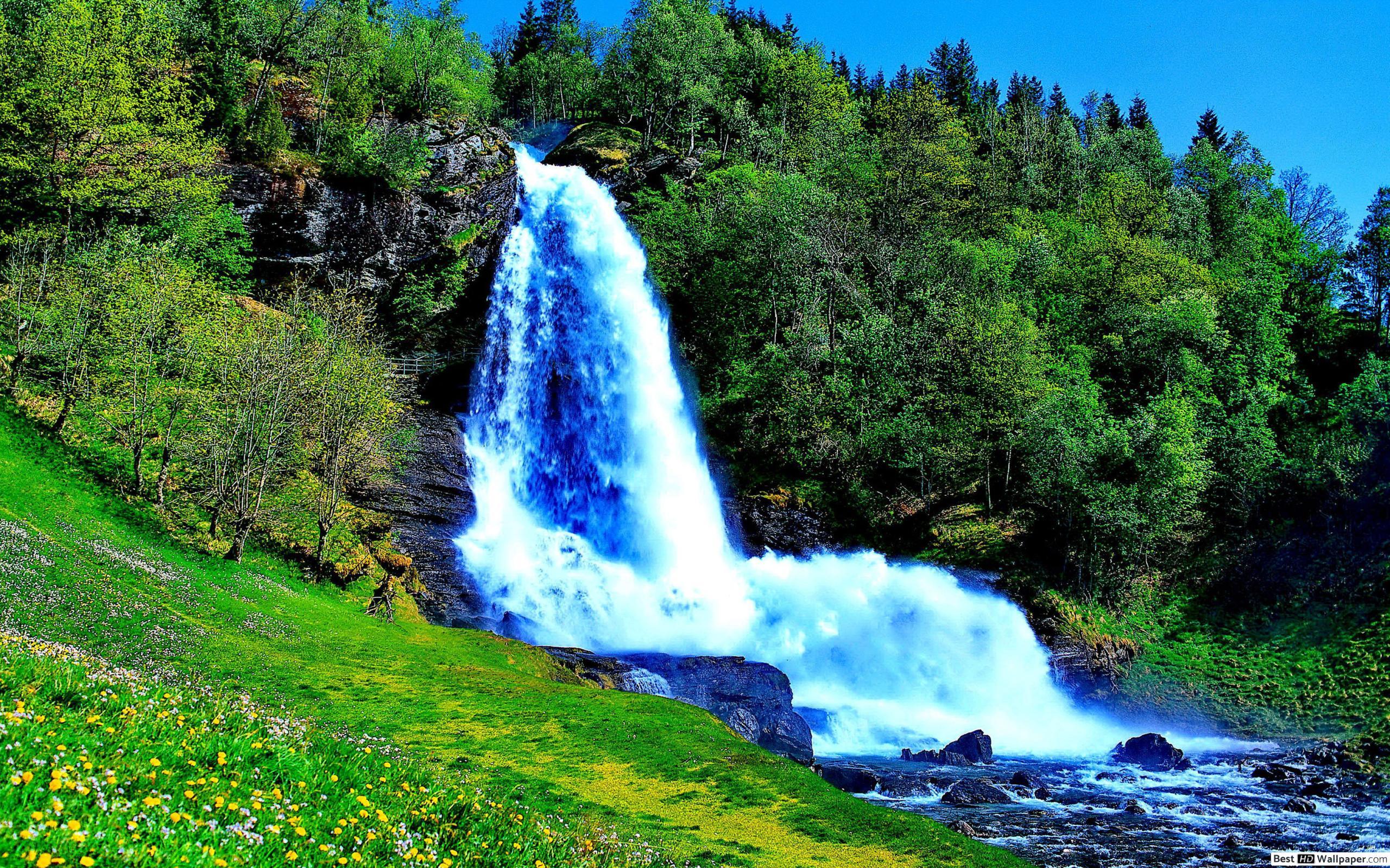 Waterfalls in Kerala: A Complete Guide to Nature’s Cascading Wonders - Newsglo