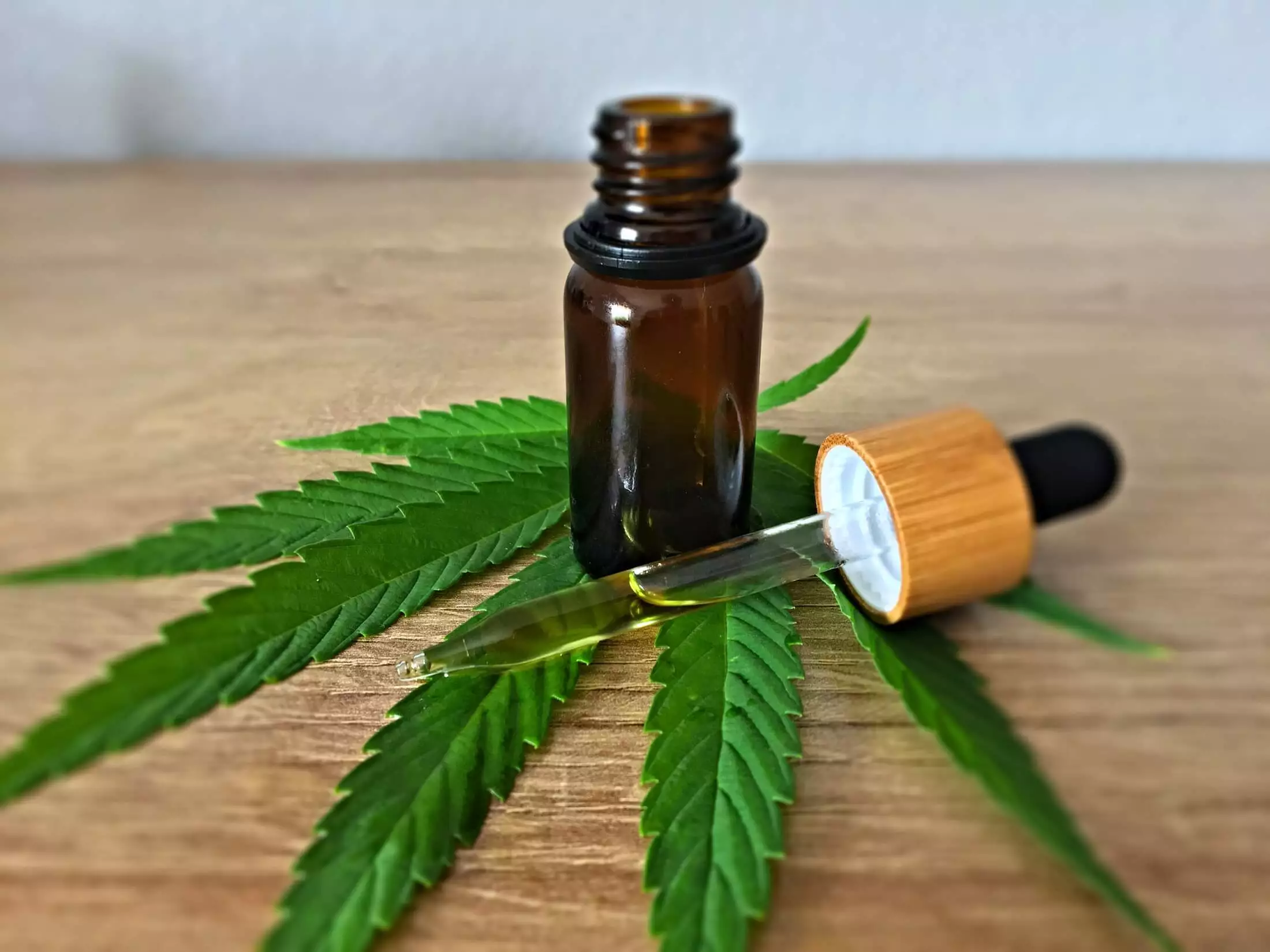 Best CBD Tinctures for Daily Wellness Routine - Newsglo CBD