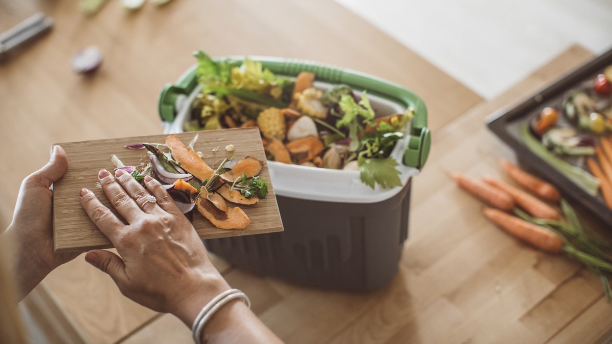 How To Choose The Right Automatic Composter For Indoor Use – A Buyer's Guide - Newsglo