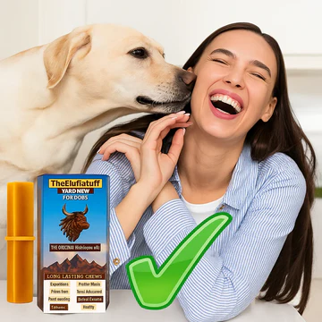Yak Milk Chews Pack of 10 A Natural Treat Dogs Love