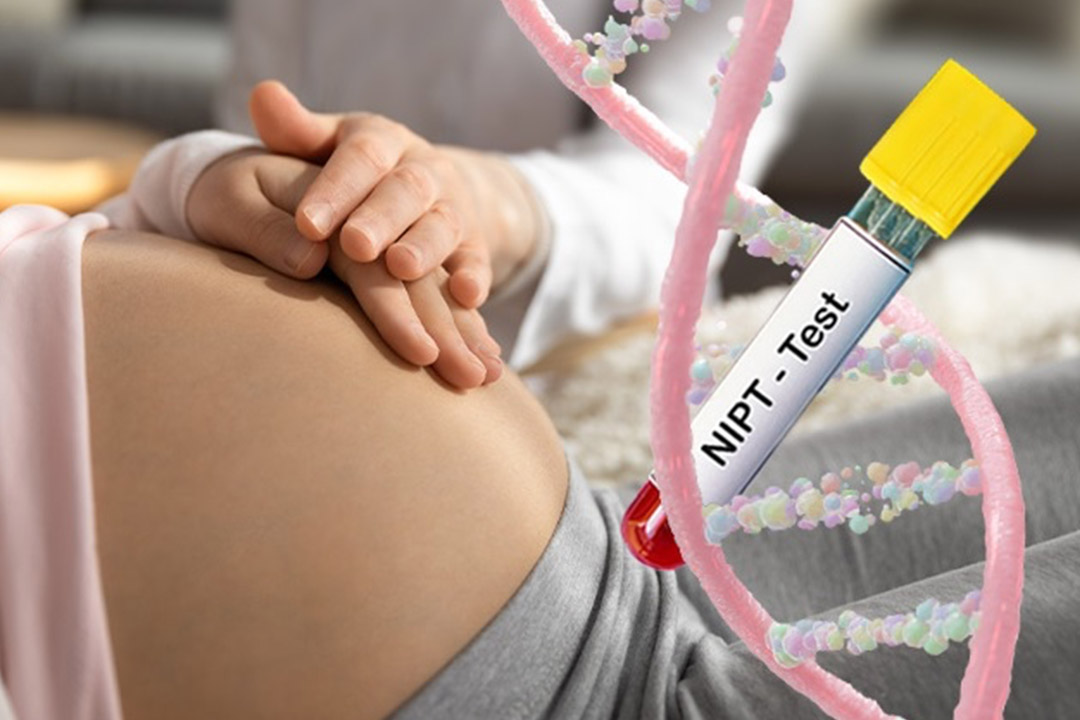 NIPT Test in Pregnancy: Benefits, Timeline, and Result Interpretation - Newsglo NIPT Test in Pregnancy