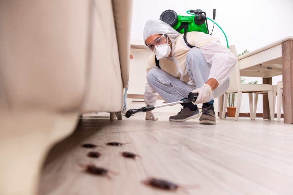 Affordable Pest Control Services in Baltimore MD, Professional Pest Control Services