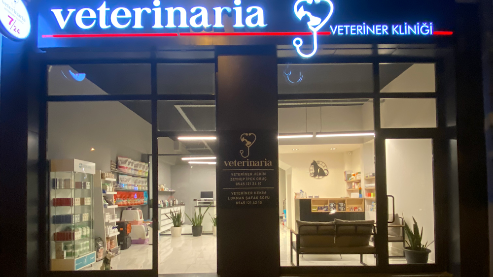 Your Pet’s Health, Our Priority - Newsglo