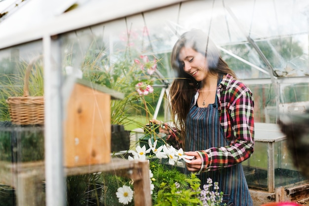 Solexx Gardener's Oasis greenhouse