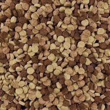 Buy Pet Food in Bulk: Save Money While Keeping Your Pet Well-Fed - Newsglo