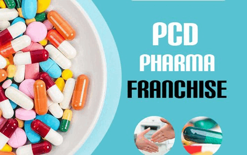 Why PCD Pharma Franchise Companies Lead In Competitive Markets - Newsglo