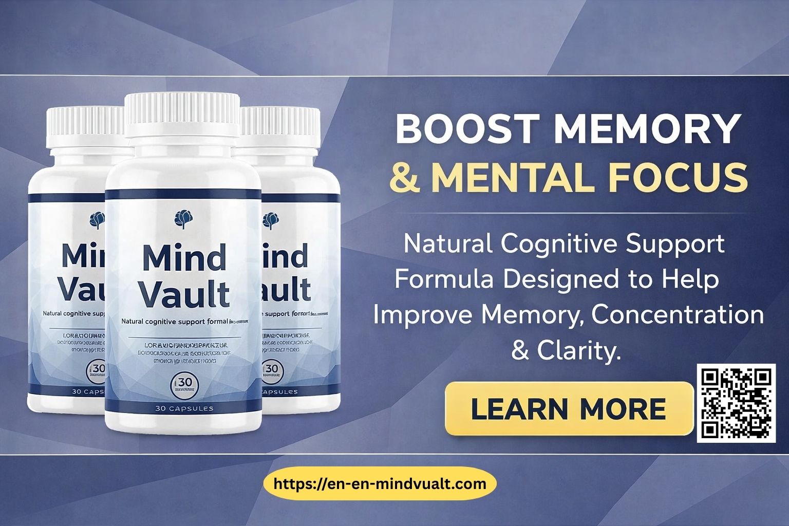 Mind Vault
