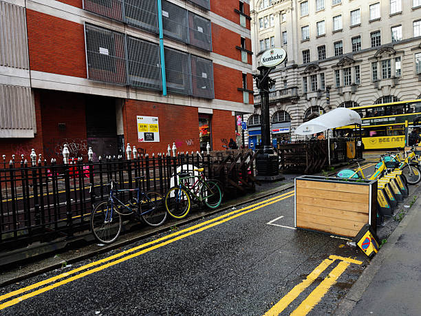 Reliable Carpet Cleaner Service in Manchester for Everyday Living