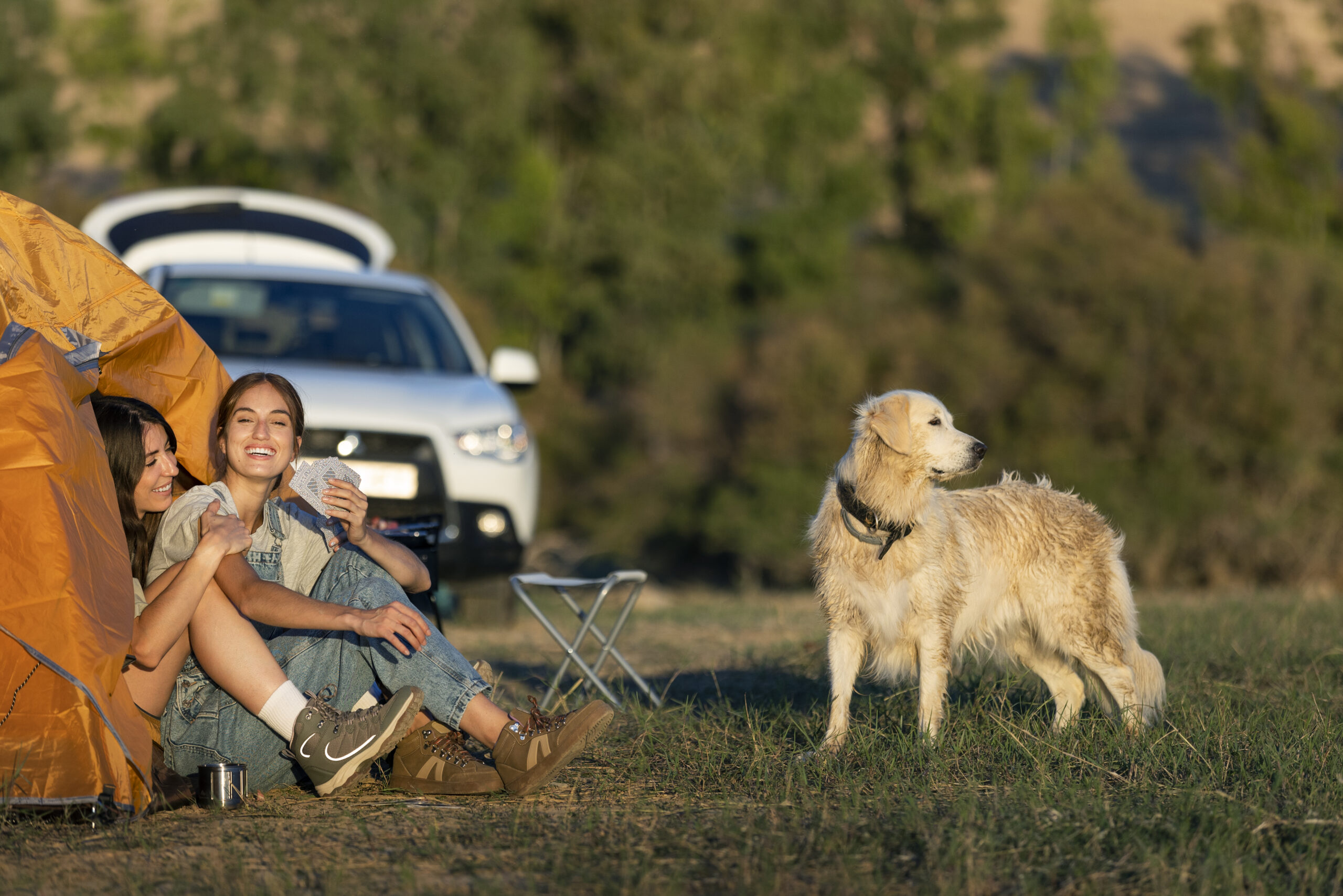 Top Features of the Best Pet Friendly RV Park in Texas for Families - Newsglo pet freindly rv park