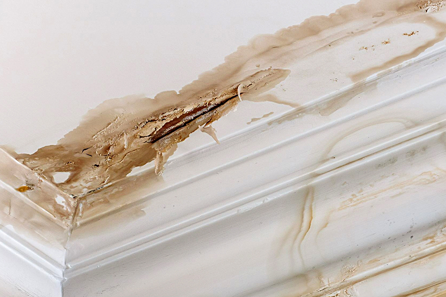 Leaks and Water Damage in Rental Properties: Health Risks, Property Loss, and Tenant Claim Rights - Newsglo