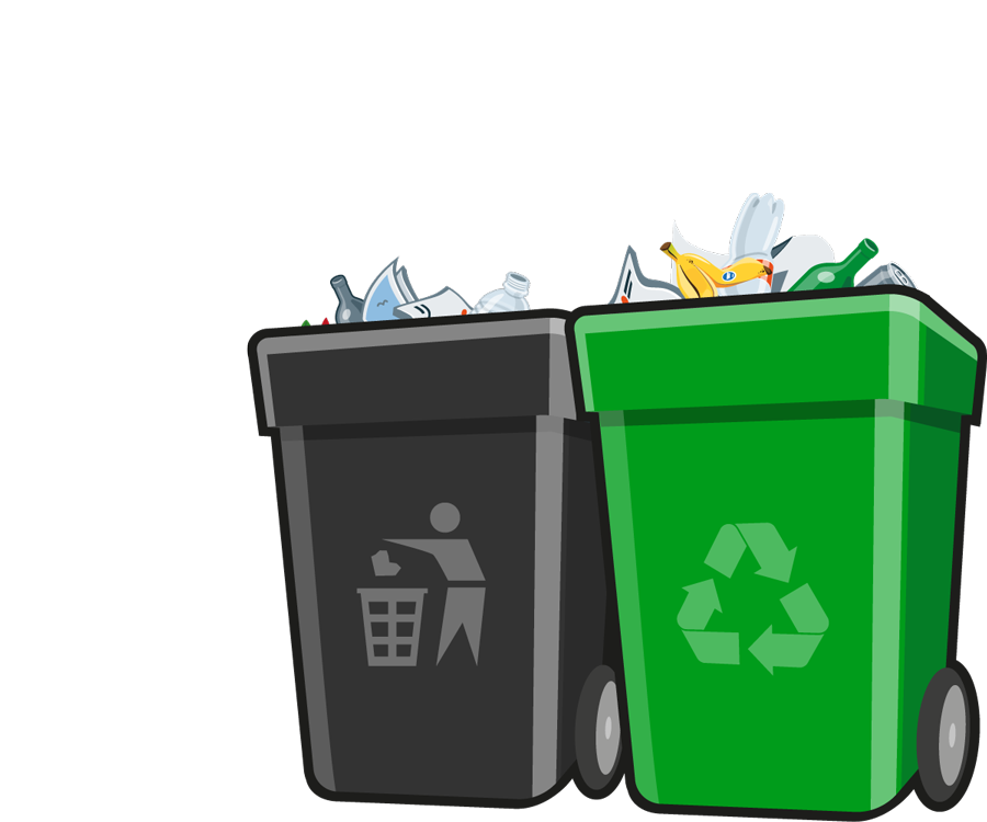 Professional Bin Cleaning Services for a Healthier, Odor-Free Home - Newsglo