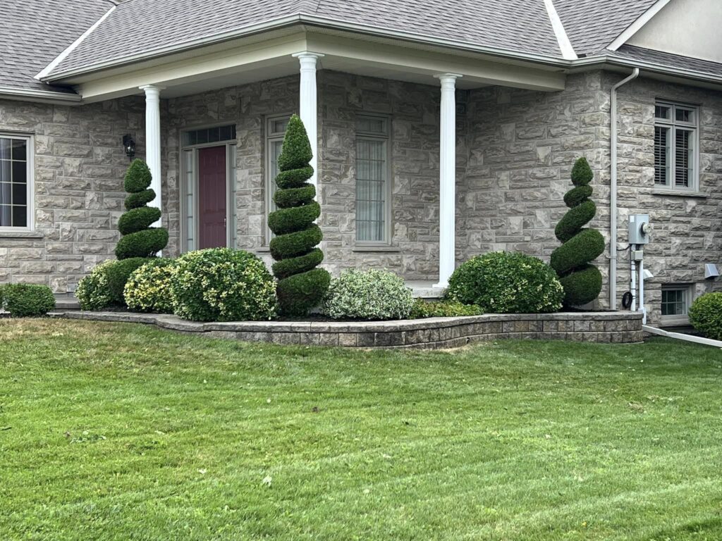 garden hedge trimming service