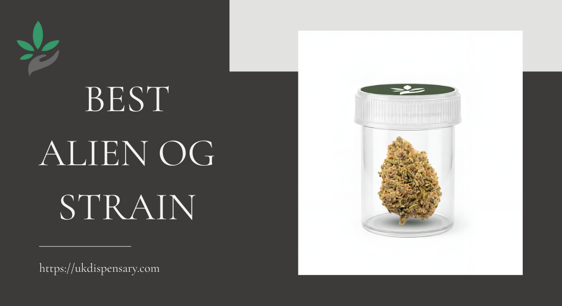 Buy Best Alien OG Strain 2026 – UK Dispensary Review - Newsglo Best Alien OG Strain