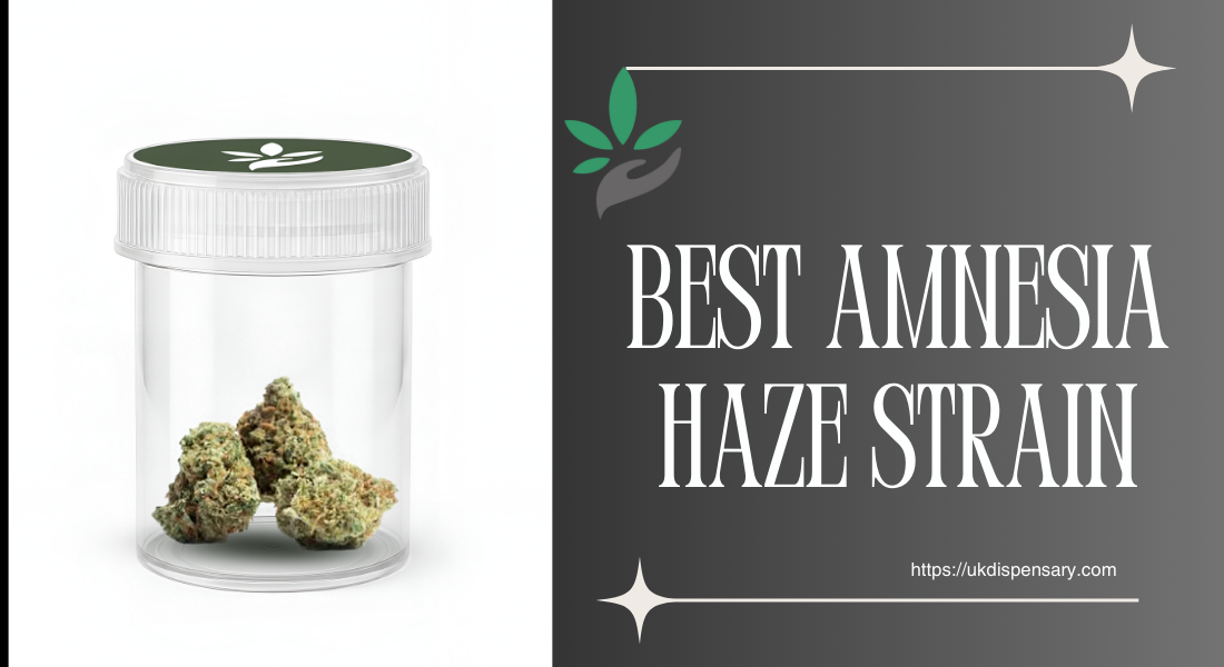 Best Amnesia Haze Strain