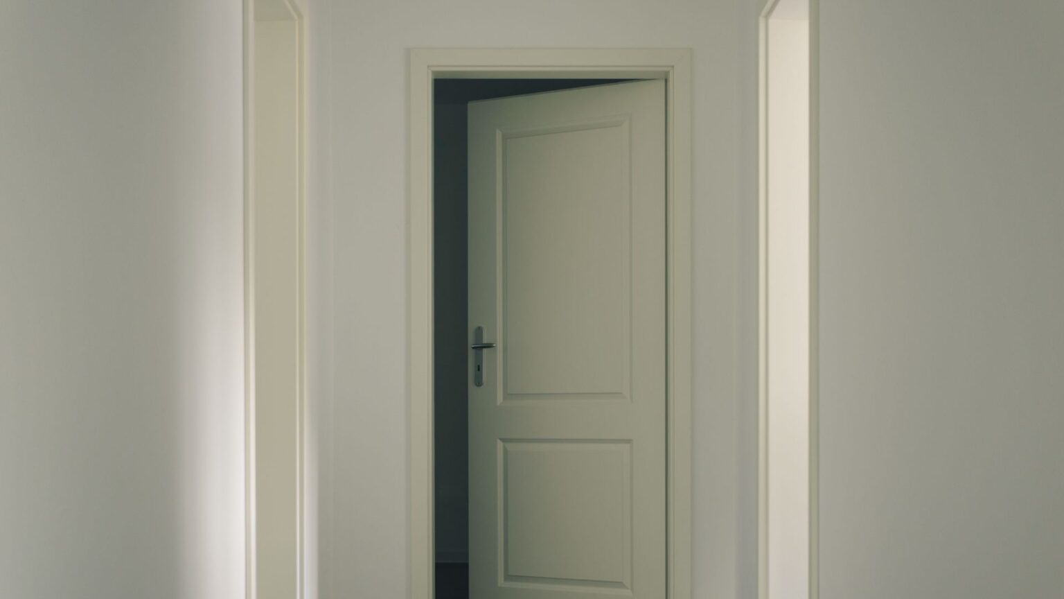 Best Panel Doors for Home