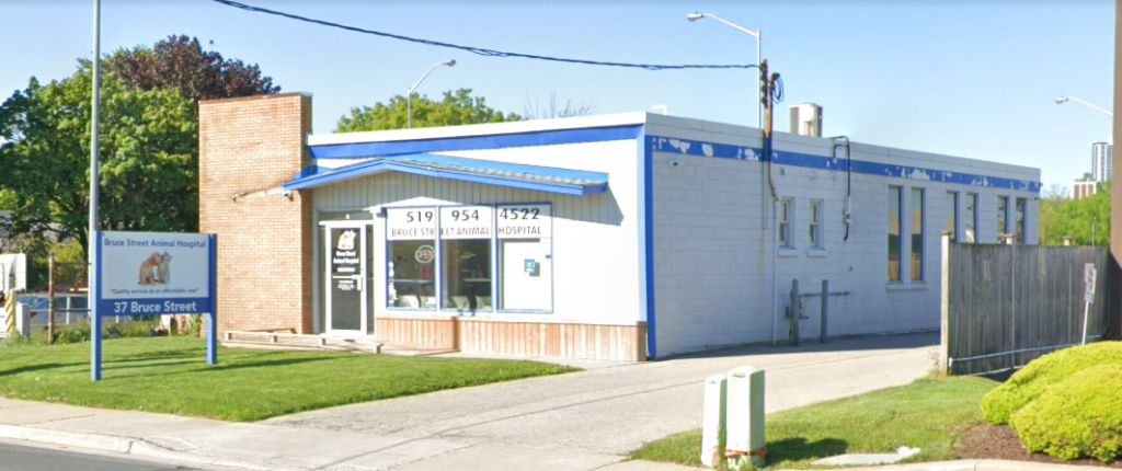 Animal Hospital in Kitchener