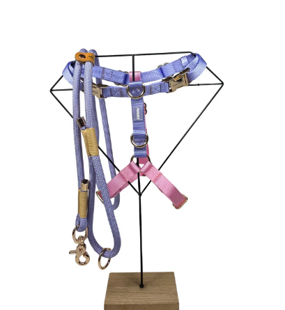 Bundel Hond Accessoires – Complete Set voor Jouw Huisdier - Newsglo