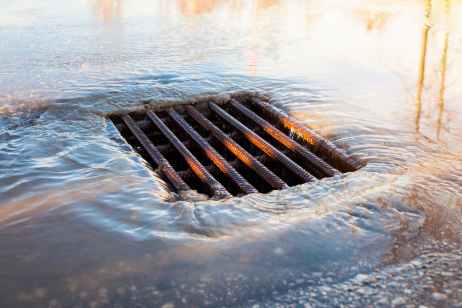 How to Find Reliable Drainage Services? A Step-by-Step Guide - Newsglo Drainage