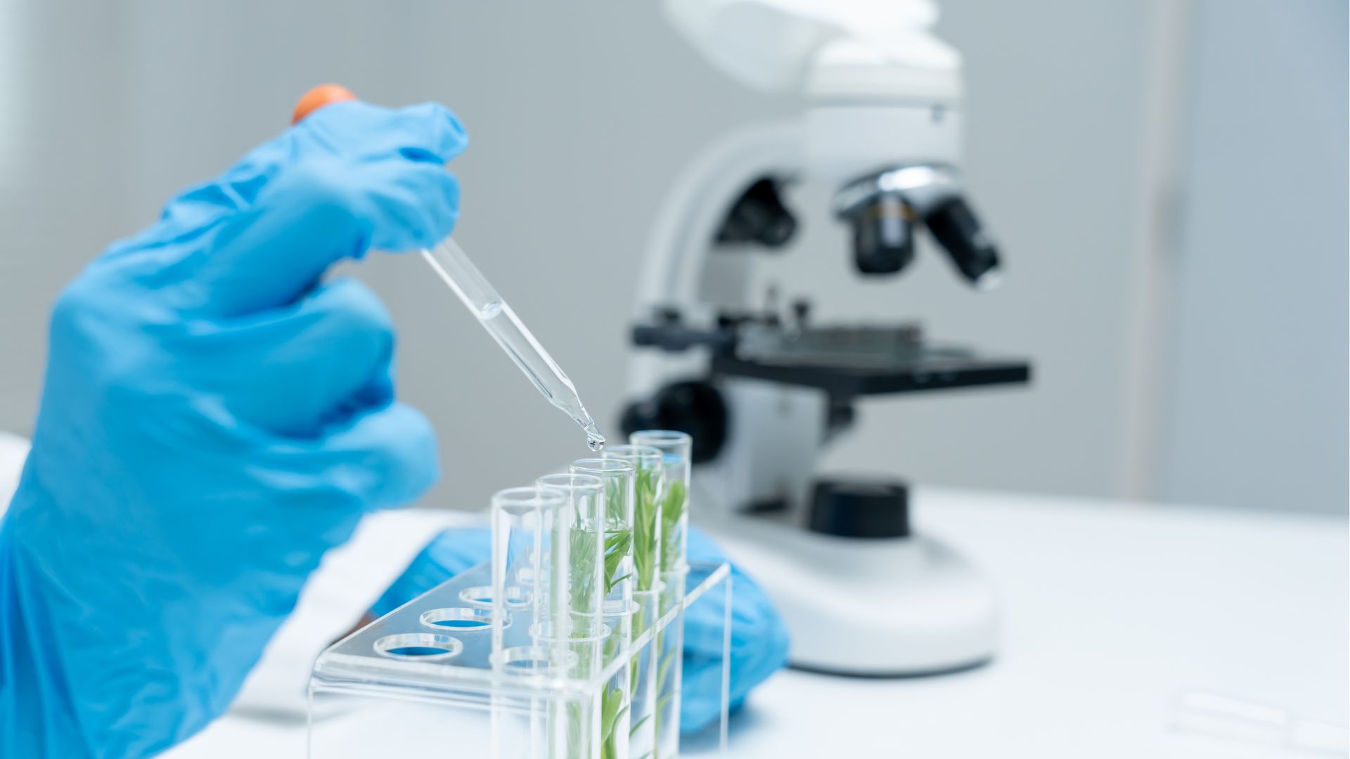 Europe Genetic Testing Industry