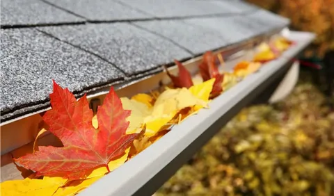 Gutter Cleaning Melbourne