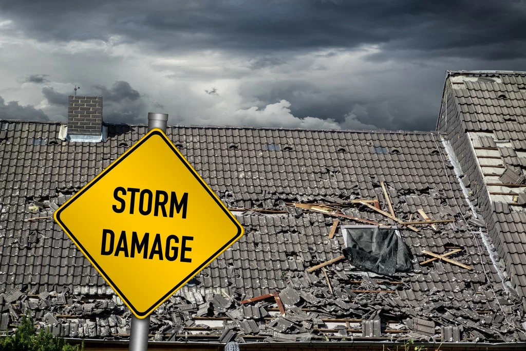 How to Protect Your Roof Against Storms and Strong winds in Felton