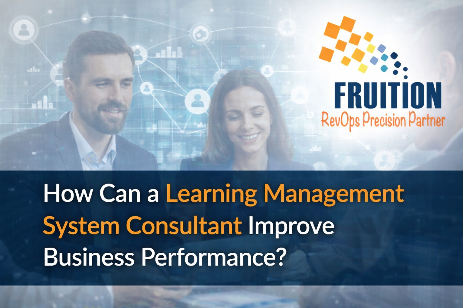 Learning Management System Consultant