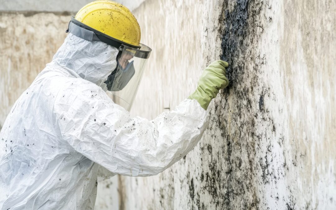 Mold Inspection services