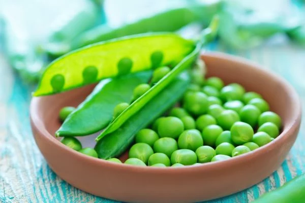 Green Peas Exporter Canada (2026): Grades, Price & Bulk Supply - Newsglo
