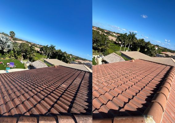 How to Choose the Best Roof Repair Company in Fort Pierce - Newsglo