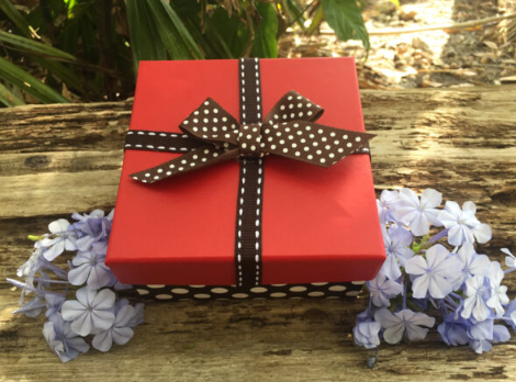 Butterfly Release for Memorials: A Heartfelt Farewell Moment